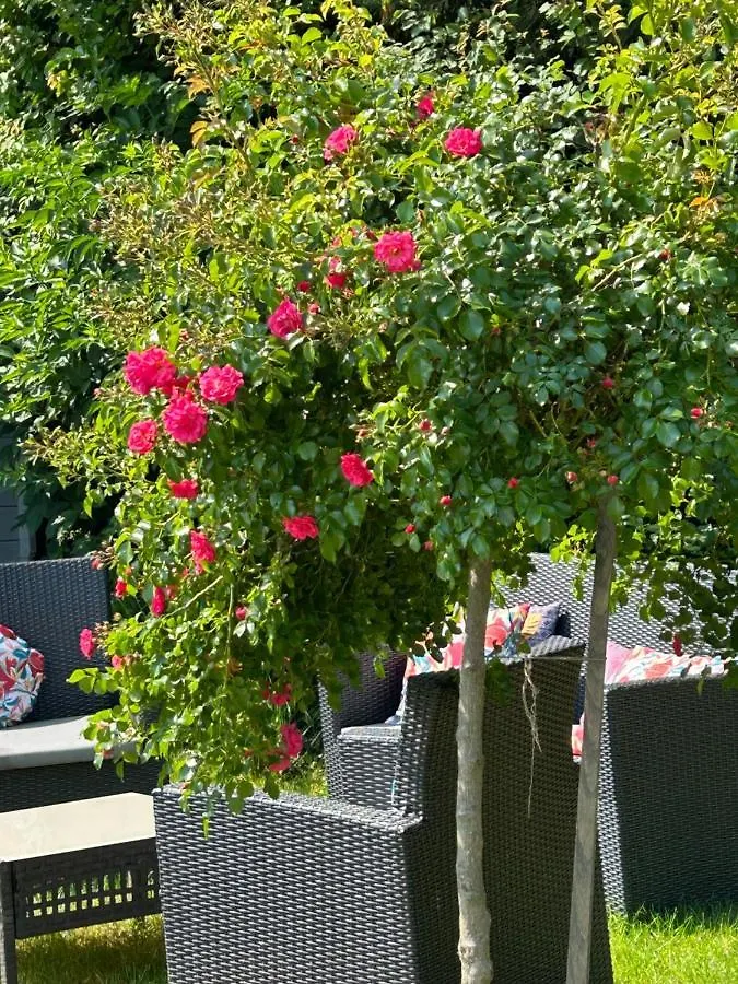 La Glycine B&B Sainte-Colombe  Couette-café Sainte-Colombe (Isere)