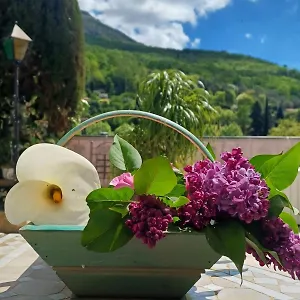 https://la-cigale-gourdon-alpes-maritimes.fr-provencehotel.com